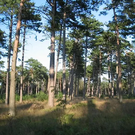 Seaside Retreat With Sauna