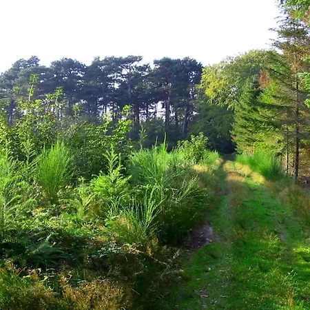 Seaside Retreat With Sauna Σπίτι διακοπών Bøtø By