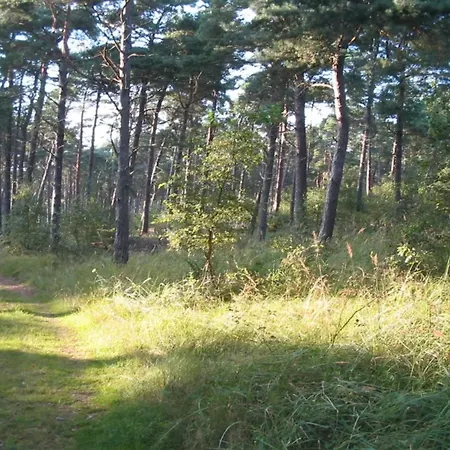 Σπίτι διακοπών Seaside Retreat With Sauna *